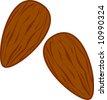 Almond Vector