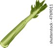 Celery Vector