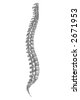 Spine Design